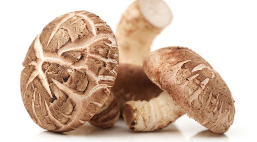 Predstonorm zawiera grzyby shiitake